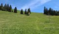 20250519_140355.jpg