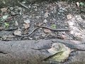 20250519_141034.jpg