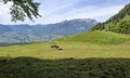 20250519_143137.jpg