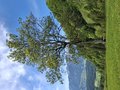 20250519_152651.jpg
