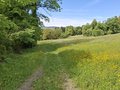 20250519_154940.jpg