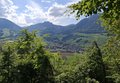 20250519_165215.jpg