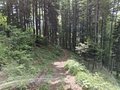 20250520_101353.jpg