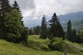 20250520_103745.jpg