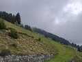 20250520_104140.jpg