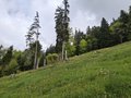 20250520_110229.jpg