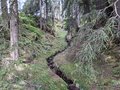 20250520_112354.jpg