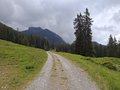 20250520_112653.jpg