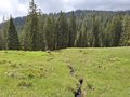 20250520_112658.jpg