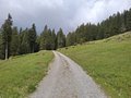20250520_112701.jpg