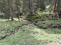 20250520_113212.jpg