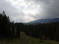 20250520_115008.jpg