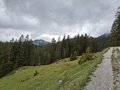 20250520_115011.jpg