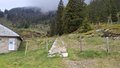 20250520_115957.jpg