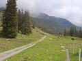 20250520_120058.jpg