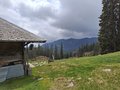 20250520_120104.jpg