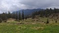 20250520_120311.jpg