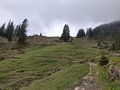 20250520_123909.jpg