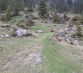 20250520_124040.jpg