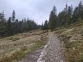 20250520_125130.jpg