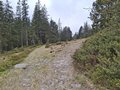 20250520_125254.jpg