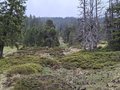 20250520_125415.jpg