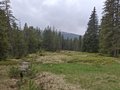 20250520_125419.jpg