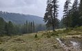 20250520_130350.jpg