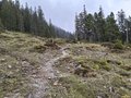20250520_130354.jpg