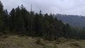 20250520_130356.jpg