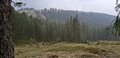20250520_130456.jpg