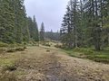 20250520_131200.jpg