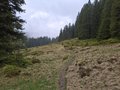 20250520_131552.jpg
