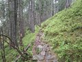 20250520_131933.jpg