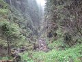 20250520_132147.jpg