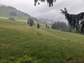 20250520_145015.jpg