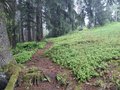 20250520_145023.jpg