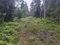 20250520_145254.jpg