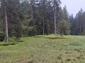 20250520_150159.jpg