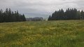 20250520_160357.jpg