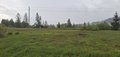 20250520_160402.jpg