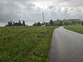 20250520_161759.jpg