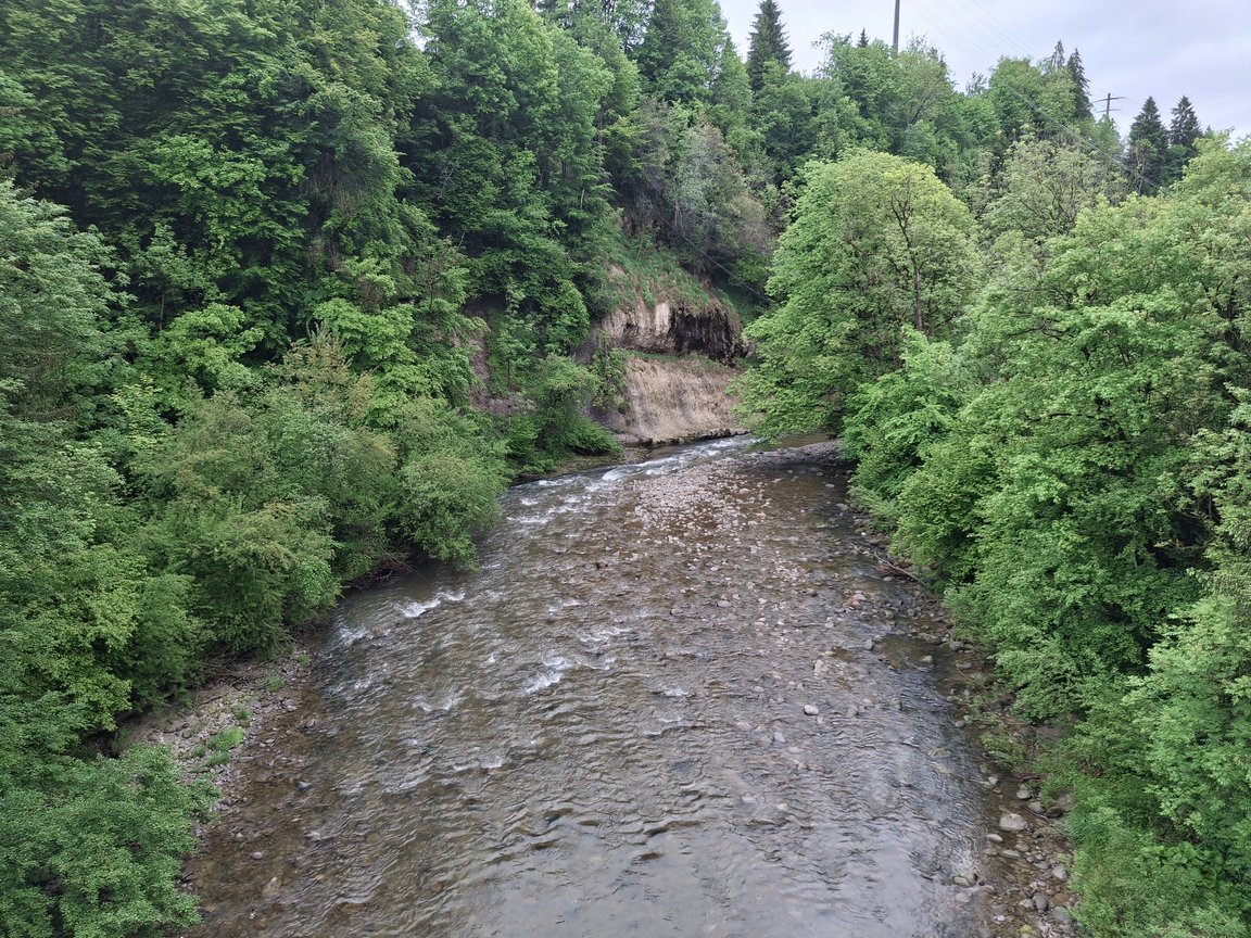 20250521_101615.jpg