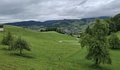 20250521_103937.jpg