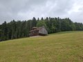 20250521_105100.jpg