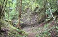 20250521_122324.jpg