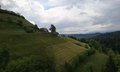 20250521_124417.jpg