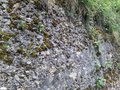 20250521_140535.jpg
