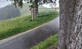20250521_151833.jpg
