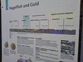 20250521_154829.jpg